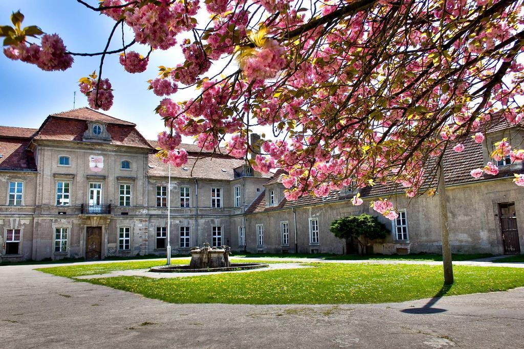 Gaestehaus Schloss Plaue Brandenburg (Brandenburg an der Havel) Exterior foto